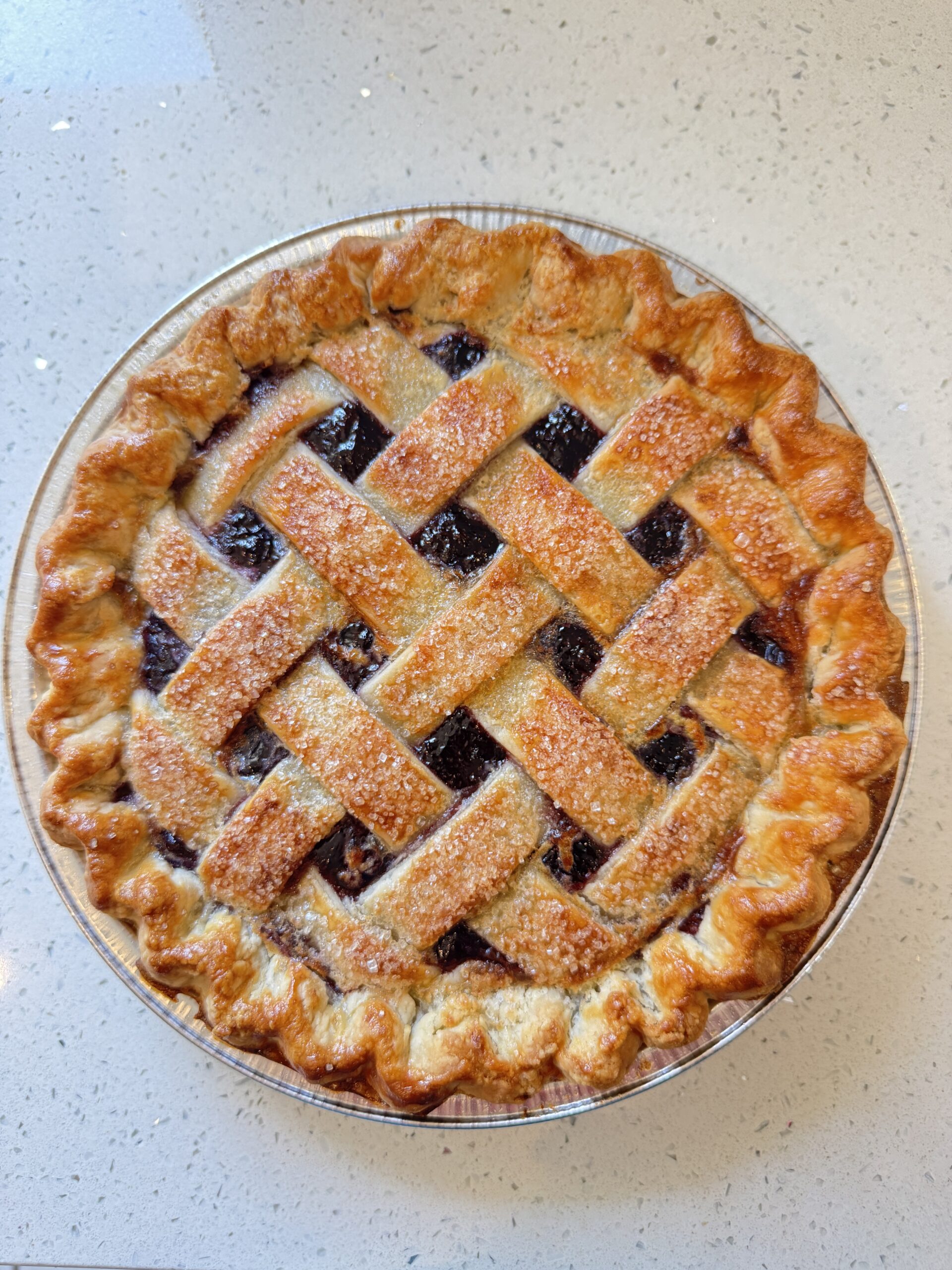 BlueBerry Pie - Image 3