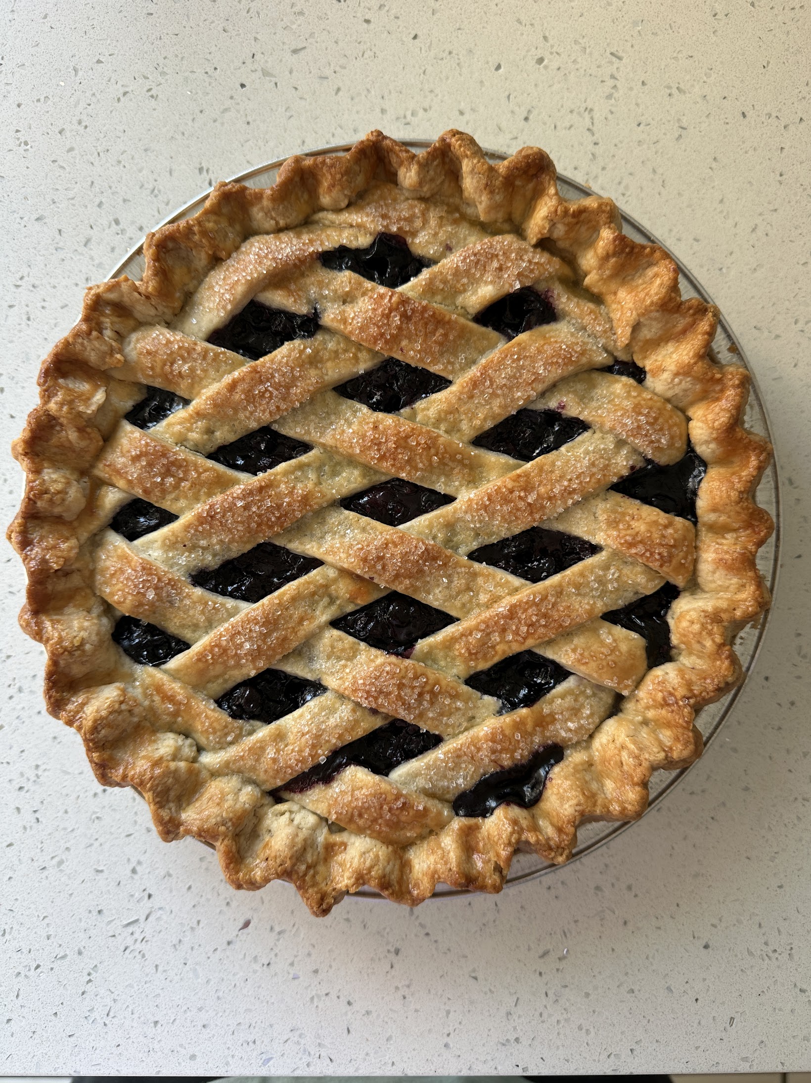 BlueBerry Pie - Image 2